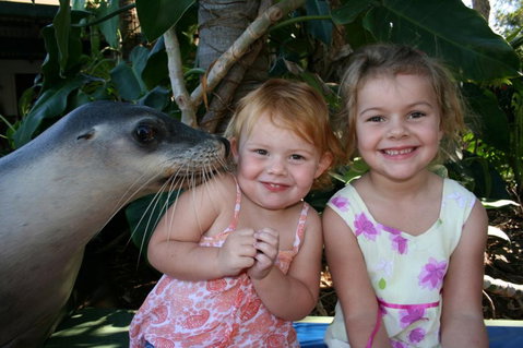 Dolphin Marine Magic - Accommodation Redcliffe 0