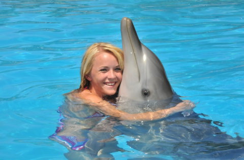 Dolphin Marine Magic - Accommodation Redcliffe 5