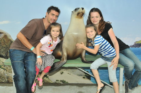 Dolphin Marine Magic - Accommodation Redcliffe 6