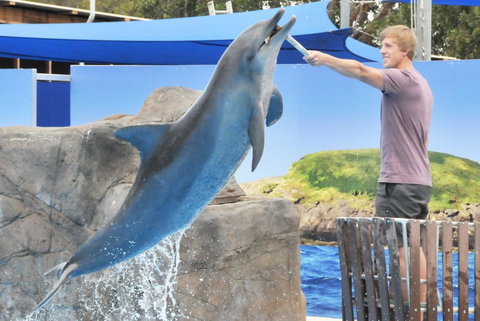 Dolphin Marine Magic - Accommodation Redcliffe 7