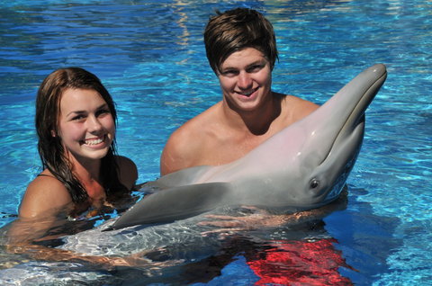 Dolphin Marine Magic - Accommodation Redcliffe 8
