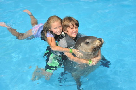 Dolphin Marine Magic - Accommodation Redcliffe 9