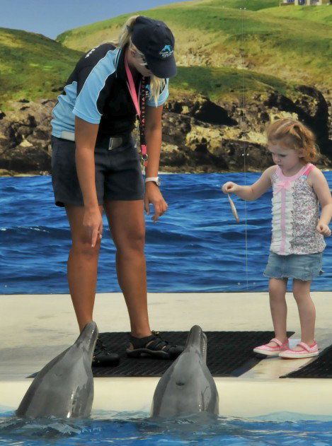 Dolphin Marine Magic - Accommodation Redcliffe 10