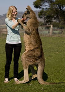 Zoo Doo Wildlife Park - Accommodation Redcliffe 5