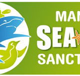 Manly SEA LIFE Sanctuary - Accommodation Redcliffe