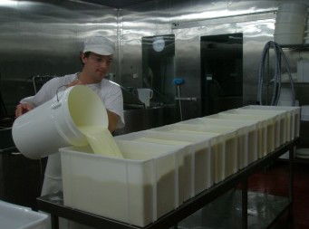 Witches Chase Cheese Co - Accommodation Redcliffe 1