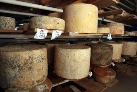 Witches Chase Cheese Co - Accommodation Redcliffe 3
