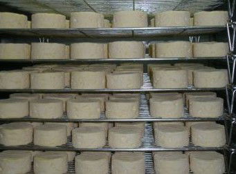 Witches Chase Cheese Co - Accommodation Redcliffe 5