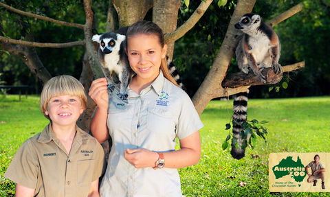 Australia Zoo - Accommodation Redcliffe 2