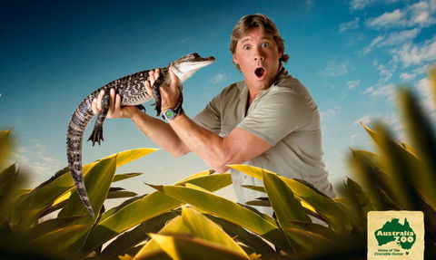 Australia Zoo - Accommodation Redcliffe 3