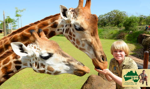 Australia Zoo - Accommodation Redcliffe 4