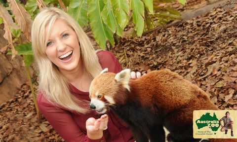 Australia Zoo - Accommodation Redcliffe 7