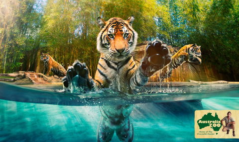 Australia Zoo - Accommodation Redcliffe 9