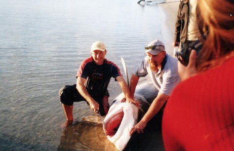 True Blue Fishing Charters - Accommodation Redcliffe 1