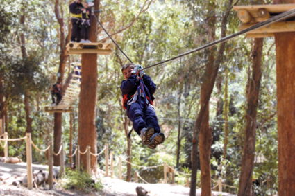 Currumbin Wildlife Sanctuary - Accommodation Redcliffe 11