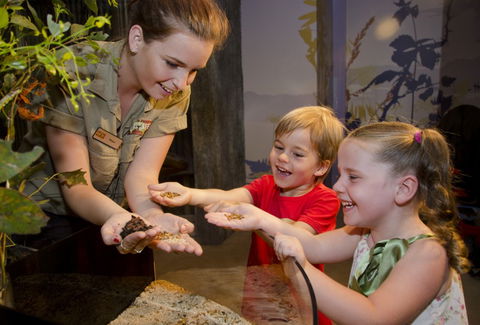 WILD LIFE Sydney Zoo - Accommodation Redcliffe 1