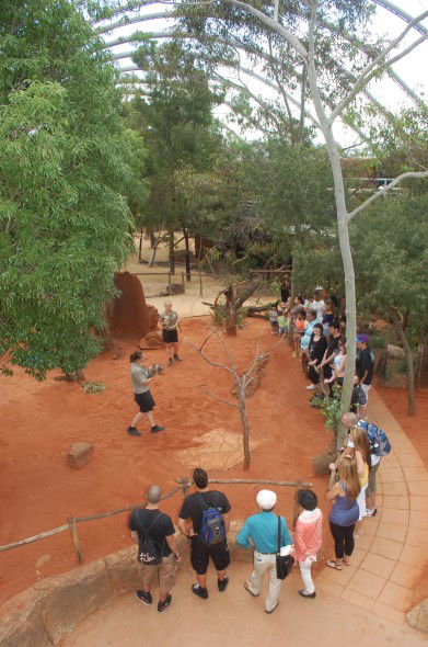 WILD LIFE Sydney Zoo - Accommodation Redcliffe 2