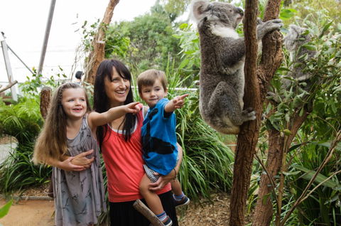 WILD LIFE Sydney Zoo - Accommodation Redcliffe 3