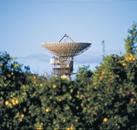 Big Dish - Accommodation Redcliffe