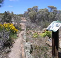 Christmas Rock Walk - Accommodation Redcliffe