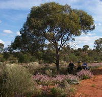 Karlkurla Bushland Park - Accommodation Redcliffe