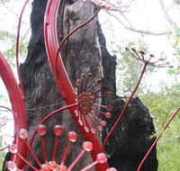 Understory Art In Nature - Accommodation Redcliffe