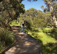 Leschenault Peninsula Conservation Park - Accommodation Redcliffe