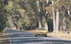 Ludlow Tuart Forest - thumb 0