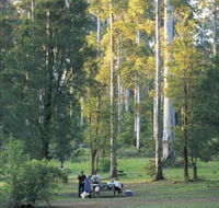 Big Brook Arboretum - Accommodation Redcliffe