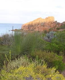 Meelup Trail - Accommodation Redcliffe 0
