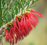 Ethel Daw Scenic Drive - Accommodation Redcliffe