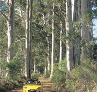 Mount Shadforth Scenic Drive - Accommodation Redcliffe