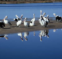 Peel Region Canoe Trails - Accommodation Redcliffe