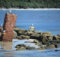 Whalers Beach - Accommodation Redcliffe