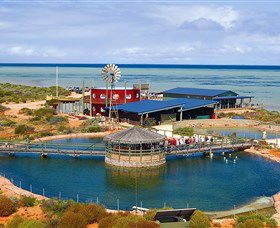 Ocean Park Aquarium - Accommodation Redcliffe 0