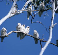 Carawine Gorge - Accommodation Redcliffe
