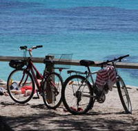 Parker Point Marine Snorkel Trail - Accommodation Redcliffe