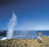 The Blowholes Carnarvon - Accommodation Redcliffe