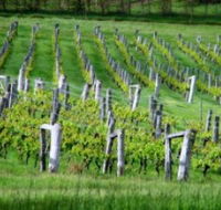 Sienna Estate Winery - Accommodation Redcliffe