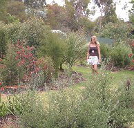The Mythic Mazes - Accommodation Redcliffe