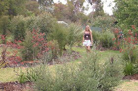 The Mythic Mazes - Accommodation Redcliffe 0
