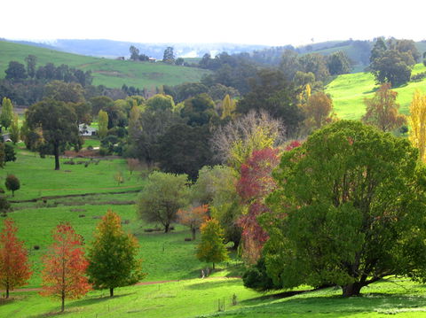 Golden Valley Tree Park - Accommodation Redcliffe 0