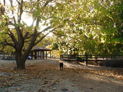 Golden Valley Tree Park - Accommodation Redcliffe 1