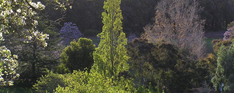Golden Valley Tree Park - Accommodation Redcliffe 3