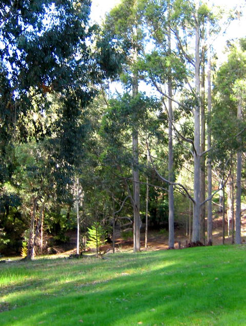Golden Valley Tree Park - Accommodation Redcliffe 6