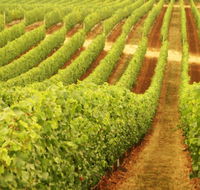 MadFish Wines Denmark - Accommodation Redcliffe