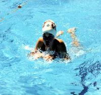 Mount Gambier Aquatic Centre
