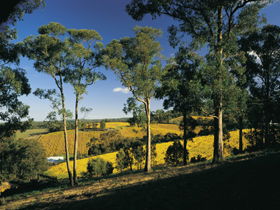 Lobethal Archives And Historical Museum - Accommodation Redcliffe 0