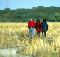 Onkaparinga River Recreation Park - Accommodation Redcliffe