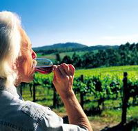 Ashton Hills Vineyard - Accommodation Redcliffe